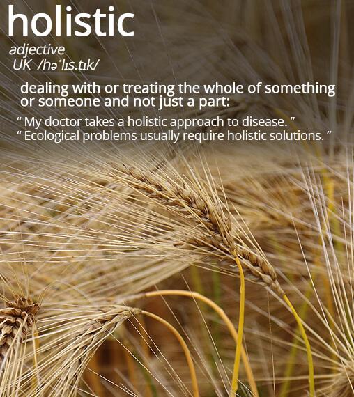 Holistic Crop and Soil Management